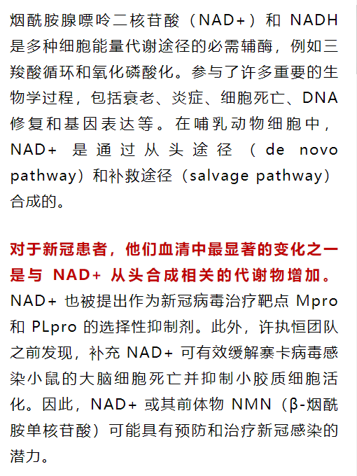 ad111b110af92952a5bb0d39586a610e.png