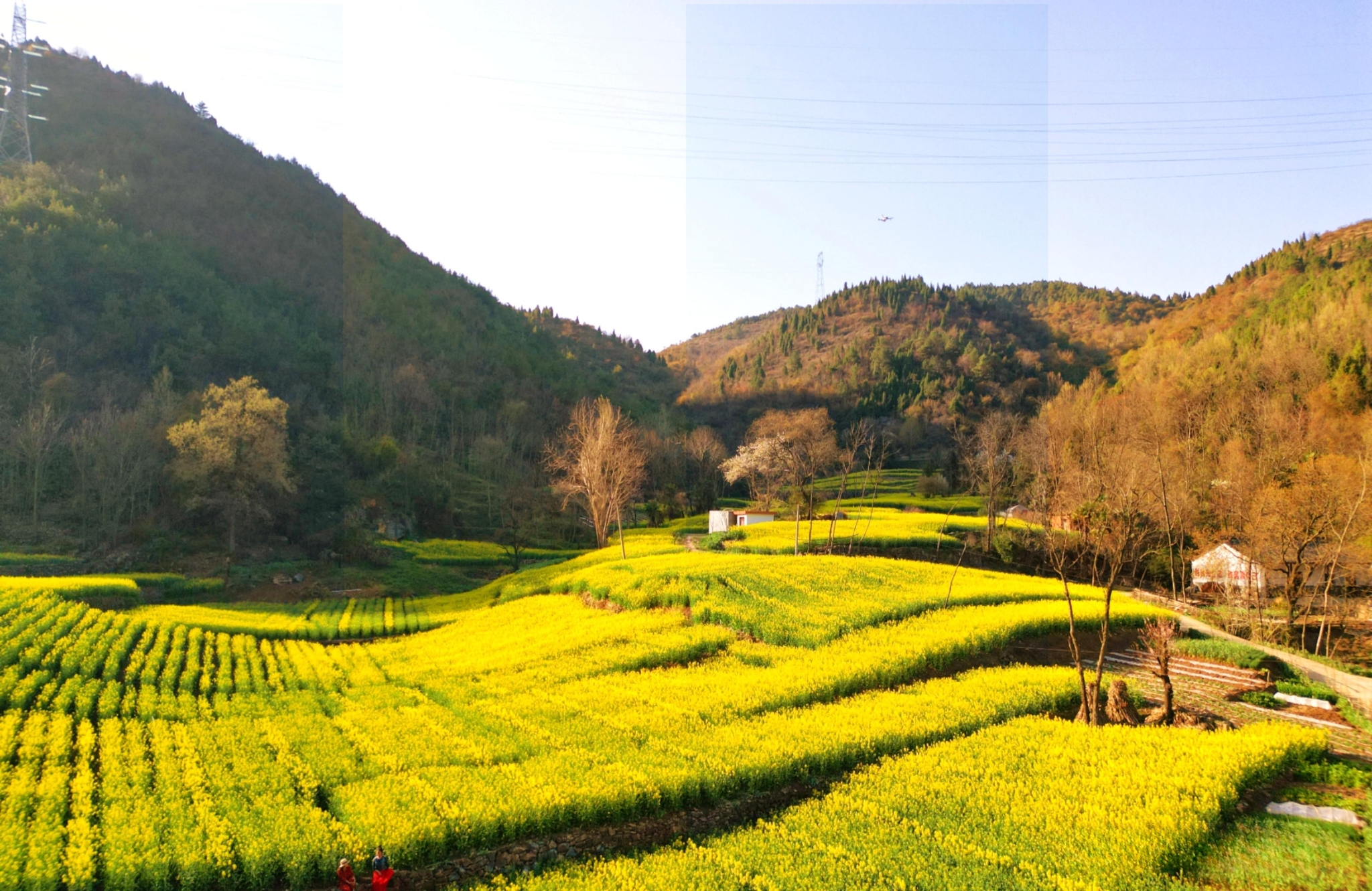 芳菲三月13.jpg 芳菲三月13.jpg