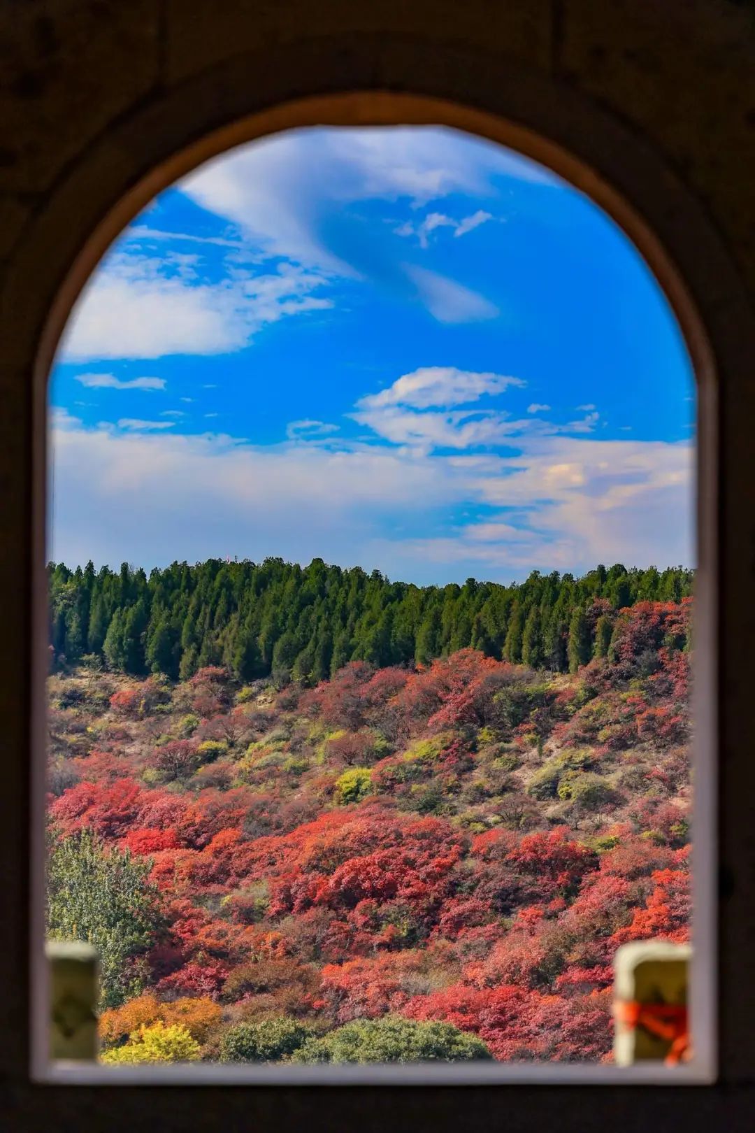 濟(jì)南的秋天15紅葉谷.jpg 濟(jì)南的秋天15紅葉谷.jpg