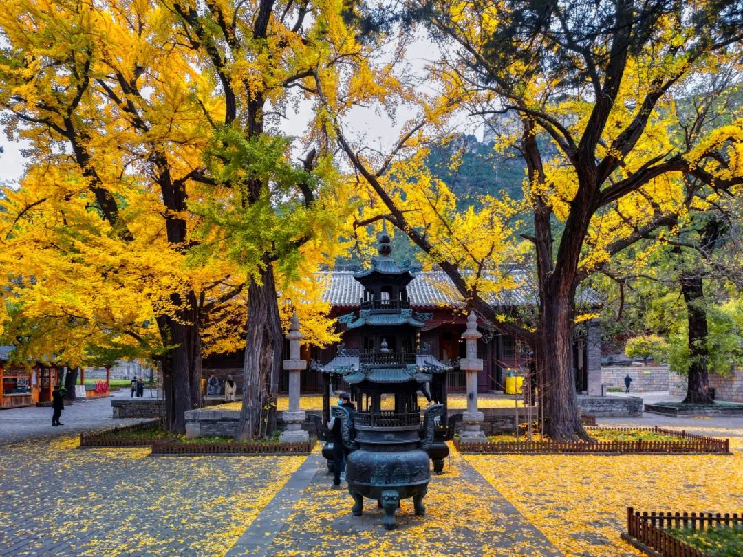 濟(jì)南的秋天17.jpg 濟(jì)南的秋天17.jpg