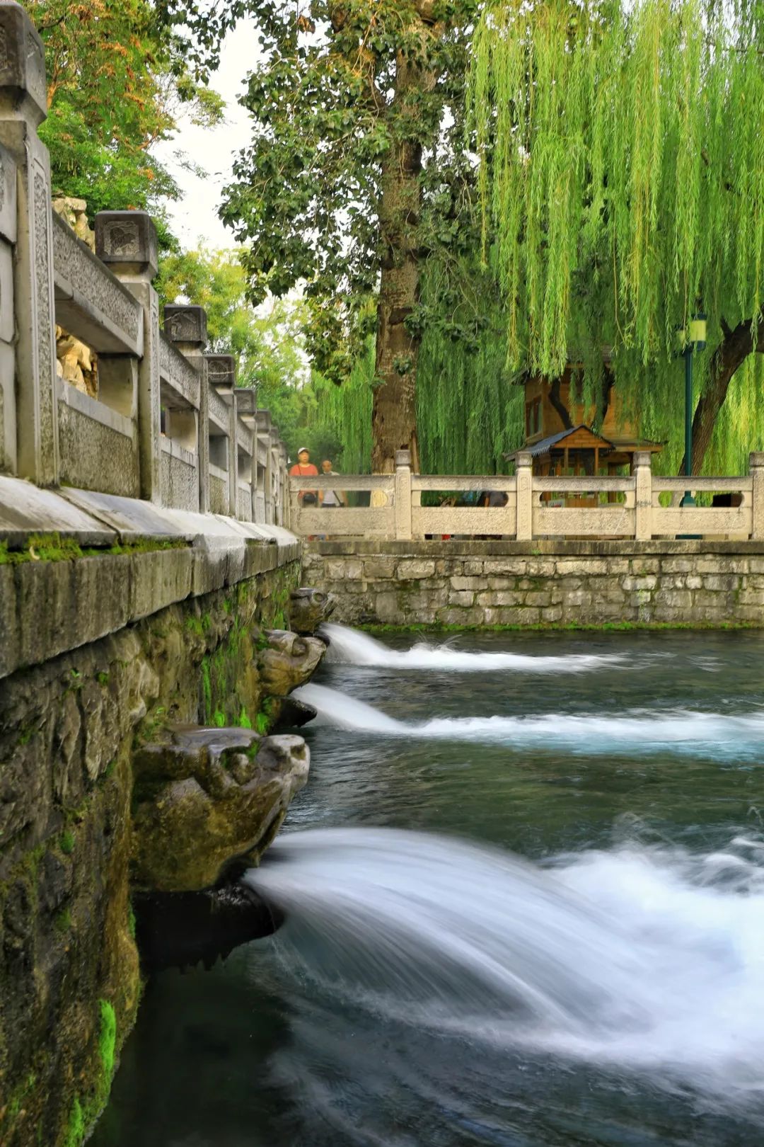 濟(jì)南的秋天19.jpg 濟(jì)南的秋天19.jpg