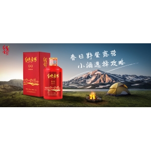 春日野餐露營(yíng)，小酒選擇攻略