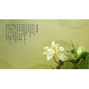 七月匆匆，秋爽八月