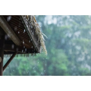 聽(tīng)雨聞香，再喝一壺不求解渴的酒