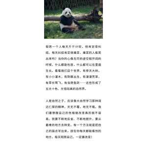 不計(jì)較，才是真正的愛自己