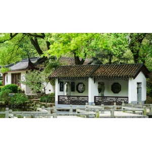 夏日?qǐng)D鑒，有一院子足矣