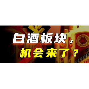 茅臺(tái)上漲8.80%！白酒板塊拉升