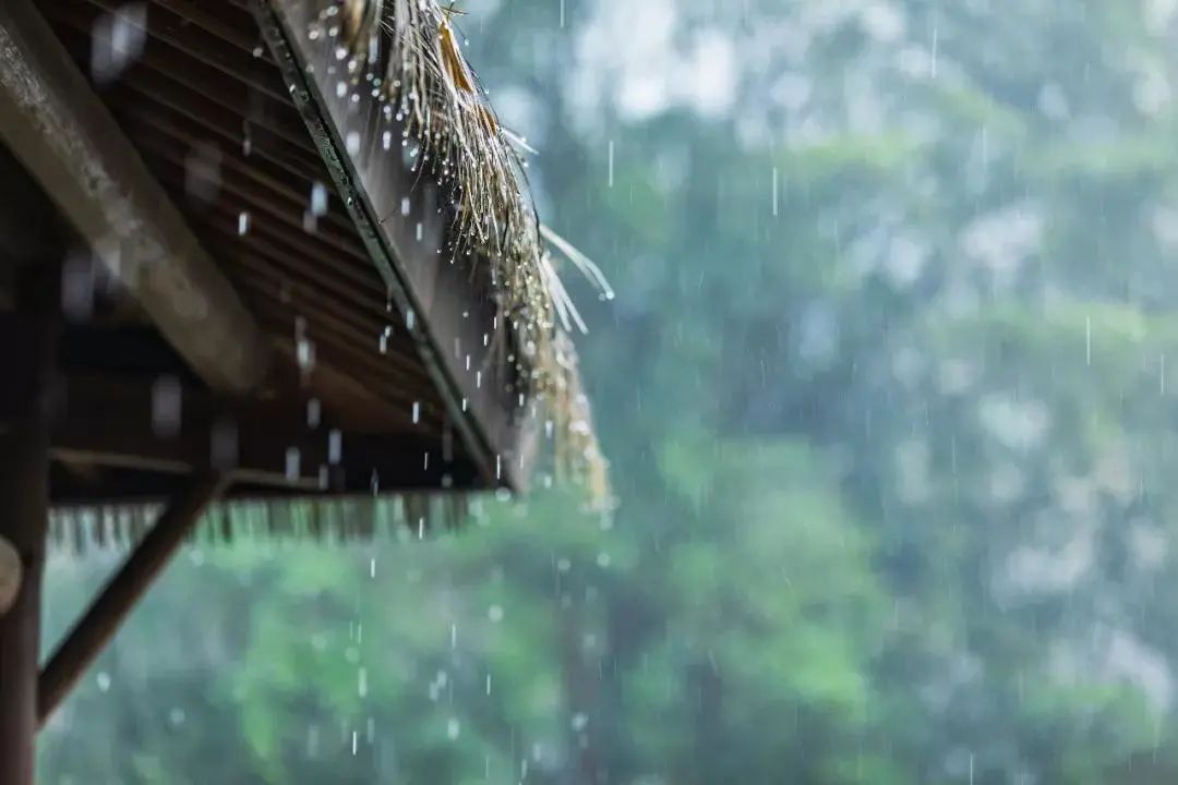 聽雨聞香，再喝一壺不求解渴的酒.jpg
